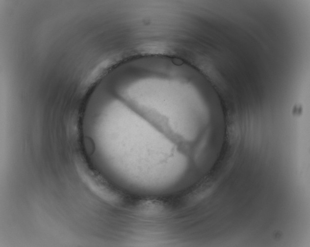 X0000113060207200910091151