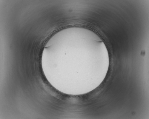 X0000113060209200910091151