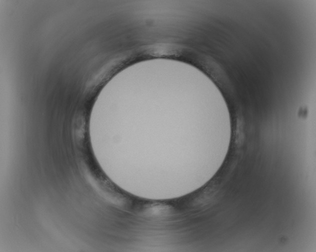X0000113060210200910091151