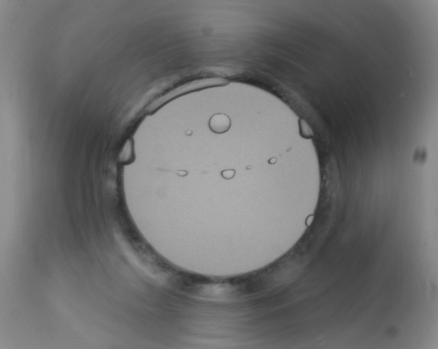 X0000113060212200910091151