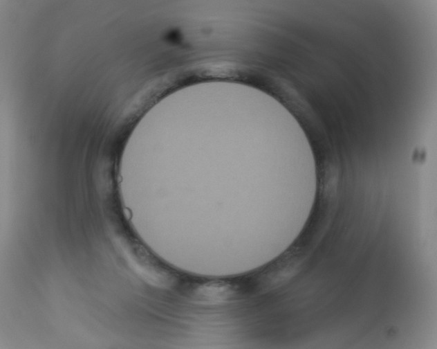 X0000113060213200910091151