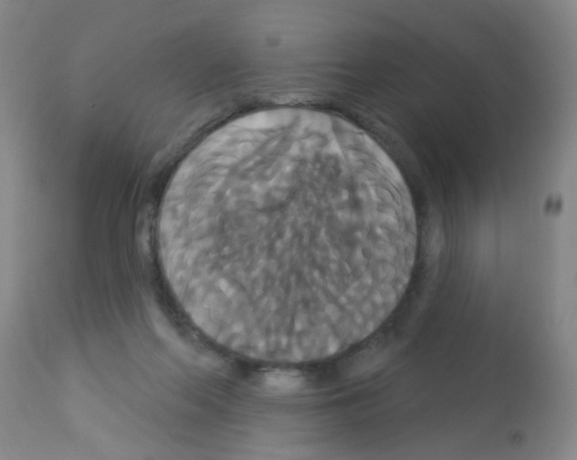 X0000113060214200910091151