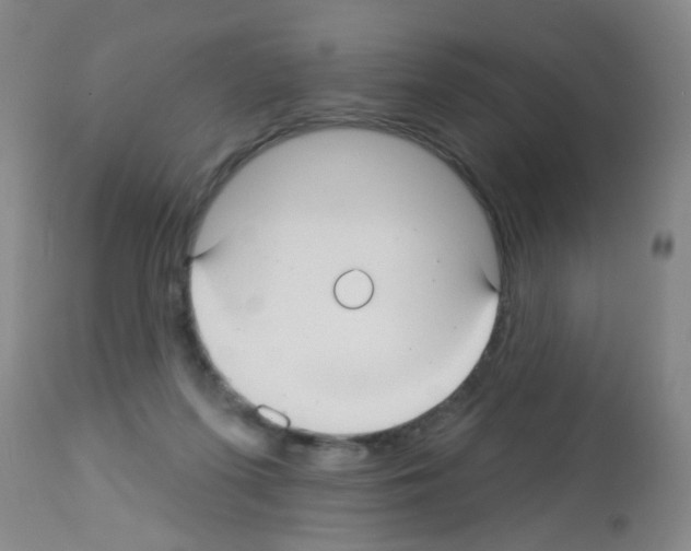 X0000113060215200910091151