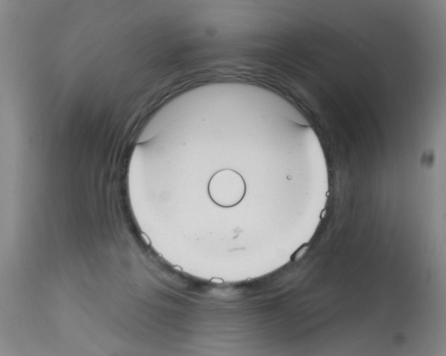 X0000113060217200910091151