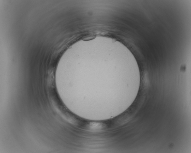 X0000113060218200910091151