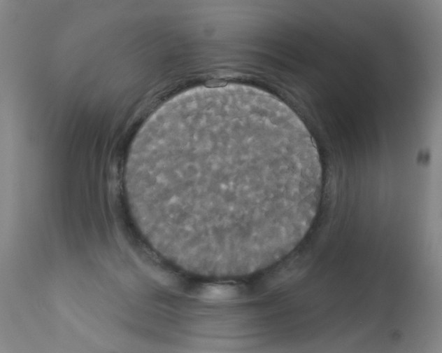 X0000113060220200910091151