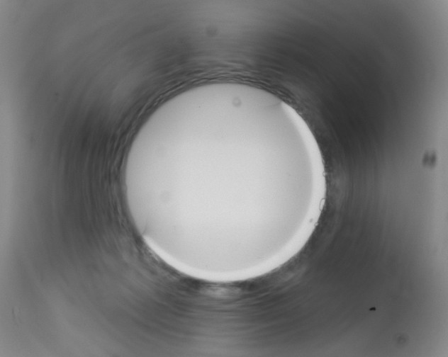 X0000113060221200910091151