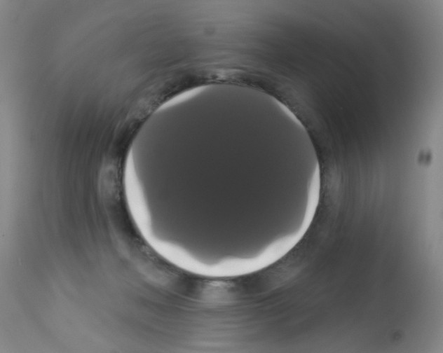 X0000113060222200910091151