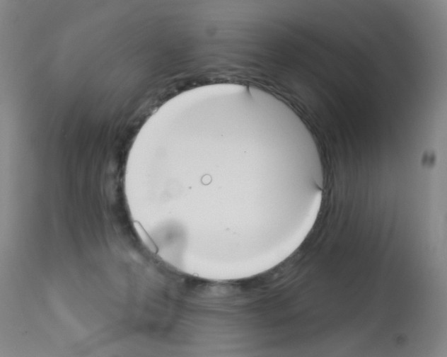 X0000113060223200910091151