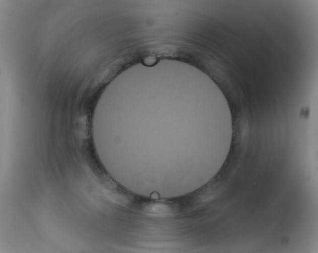 X0000113060224200910091151