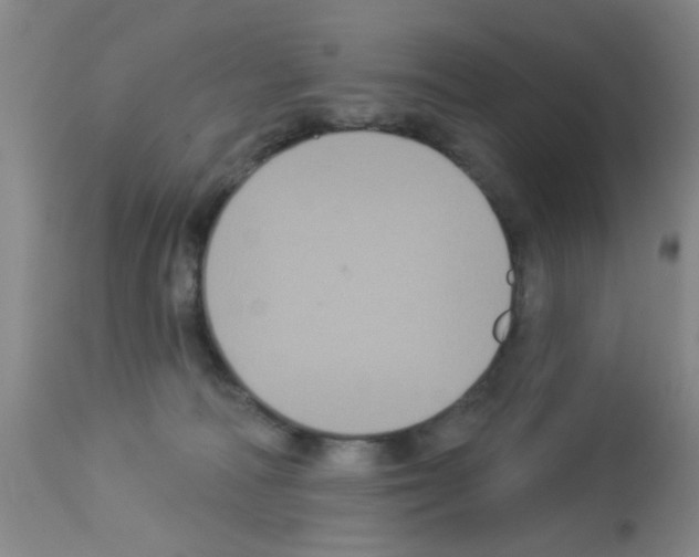 X0000113060226200910091151