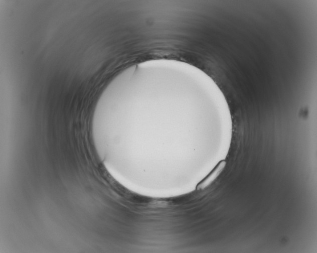 X0000113060227200910091151