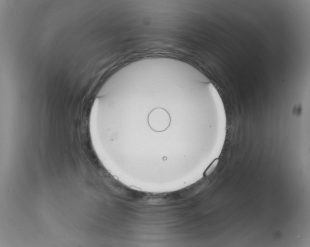 X0000113060228200910091151
