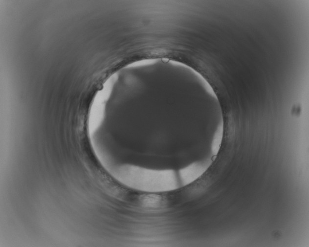 X0000113060230200910091151