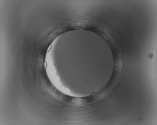 X0000113060231200910091151