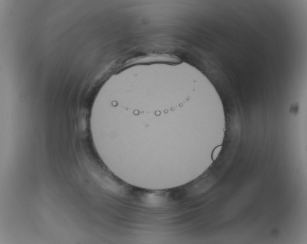 X0000113060232200910091151