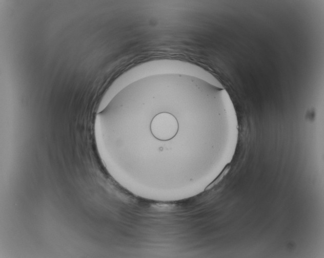 X0000113060233200910091151