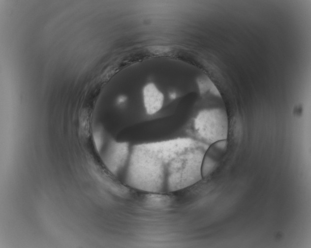 X0000113060234200910091151