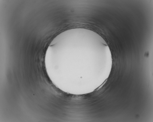 X0000113060235200910091151