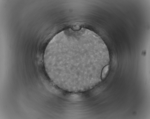 X0000113060236200910091151
