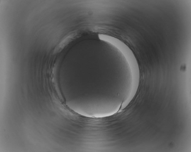 X0000113060237200910091151