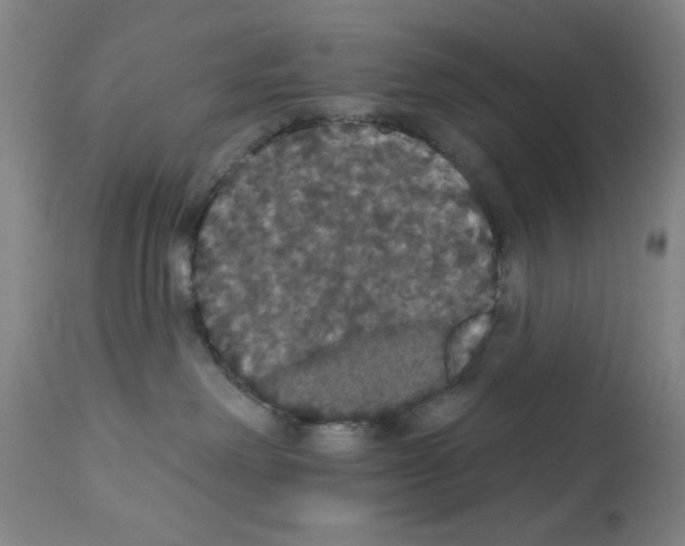 X0000113060238200910091151