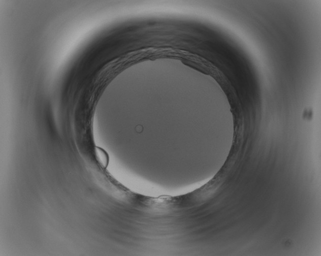 X0000113060239200910091151