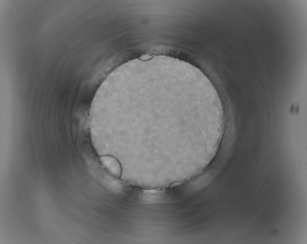 X0000113060240200910091151