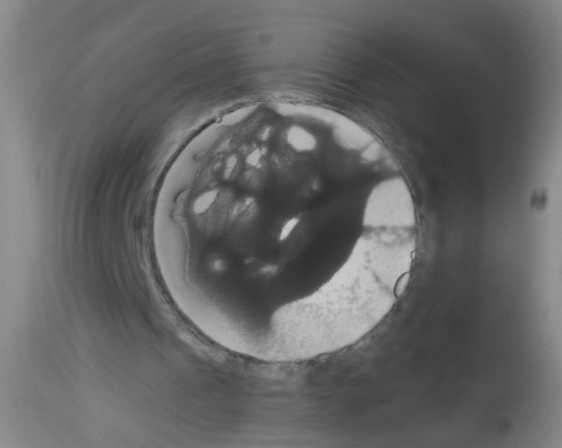 X0000113060241200910091150