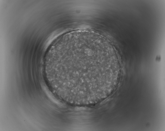 X0000113060242200910091150