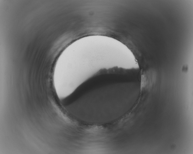 X0000113060243200910091150