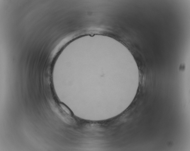 X0000113060244200910091150