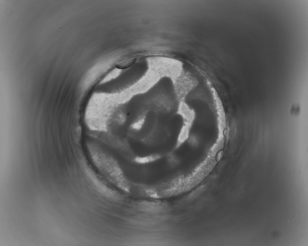 X0000113060245200910091150