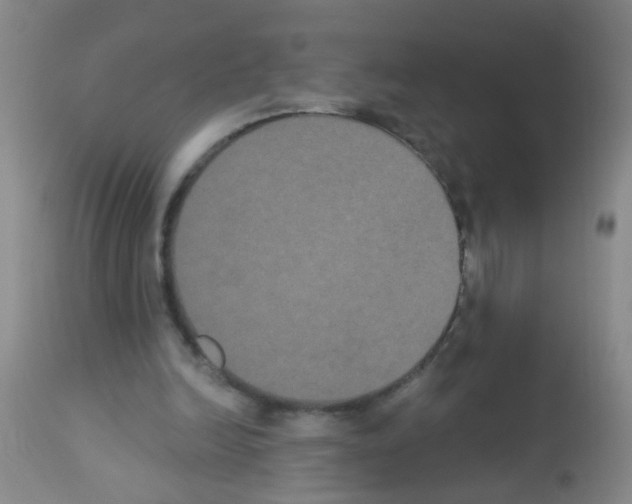 X0000113060246200910091150