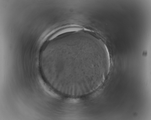 X0000113060247200910091150