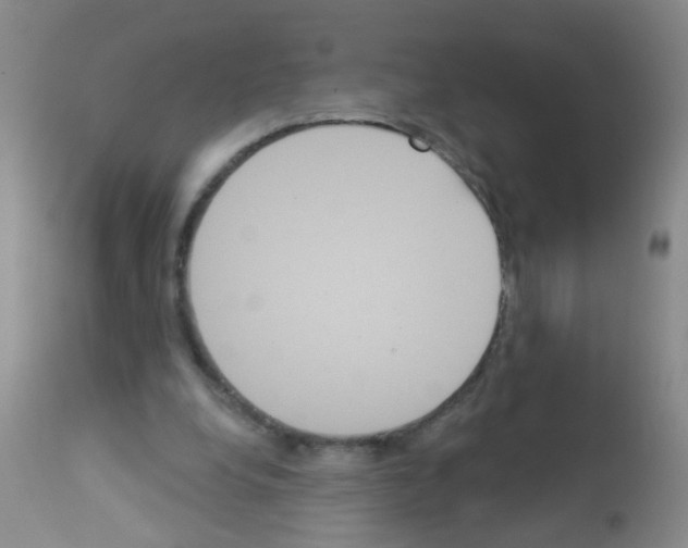 X0000113060248200910091150