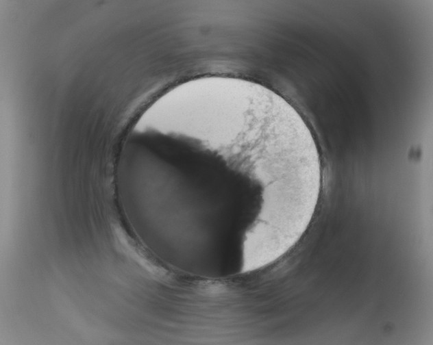 X0000113060249200910091150