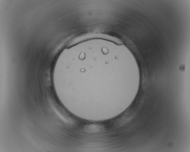 X0000113060251200910091150