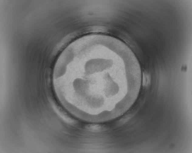 X0000113060253200910091150