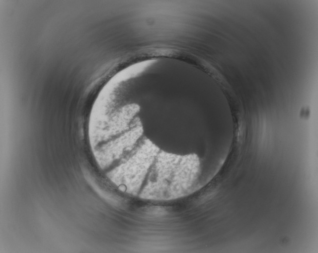 X0000113060254200910091150