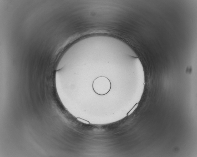 X0000113060256200910091150