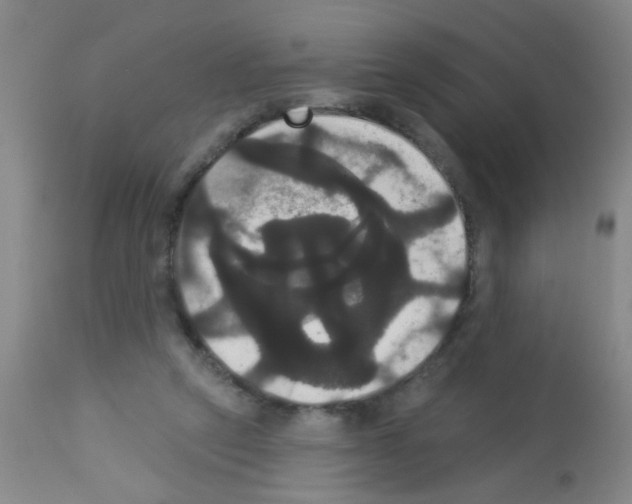 X0000113060257200910091150