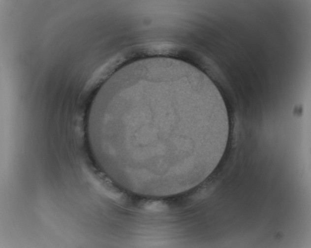 X0000113060258200910091150