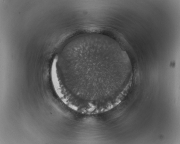 X0000113060259200910091150