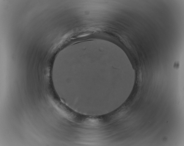 X0000113060260200910091150