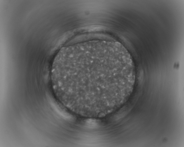 X0000113060261200910091150