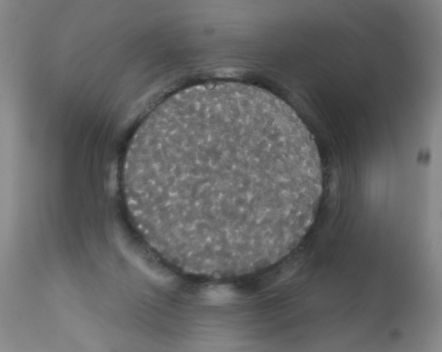 X0000113060262200910091150