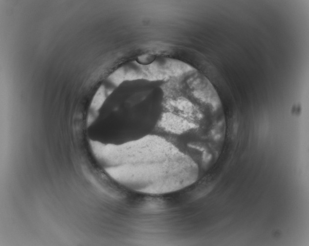 X0000113060263200910091150