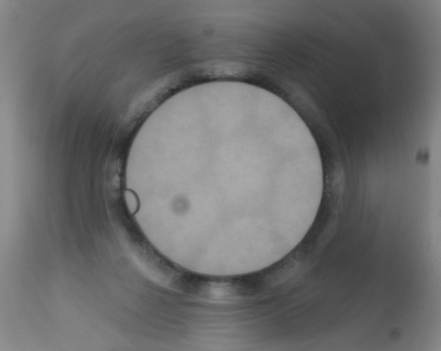 X0000113060264200910091150
