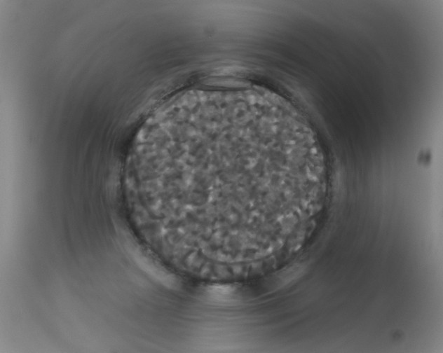 X0000113060265200910091150